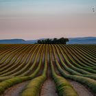  Valensole