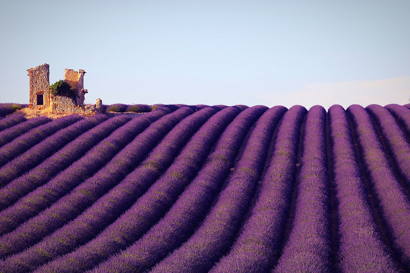 Valensole 