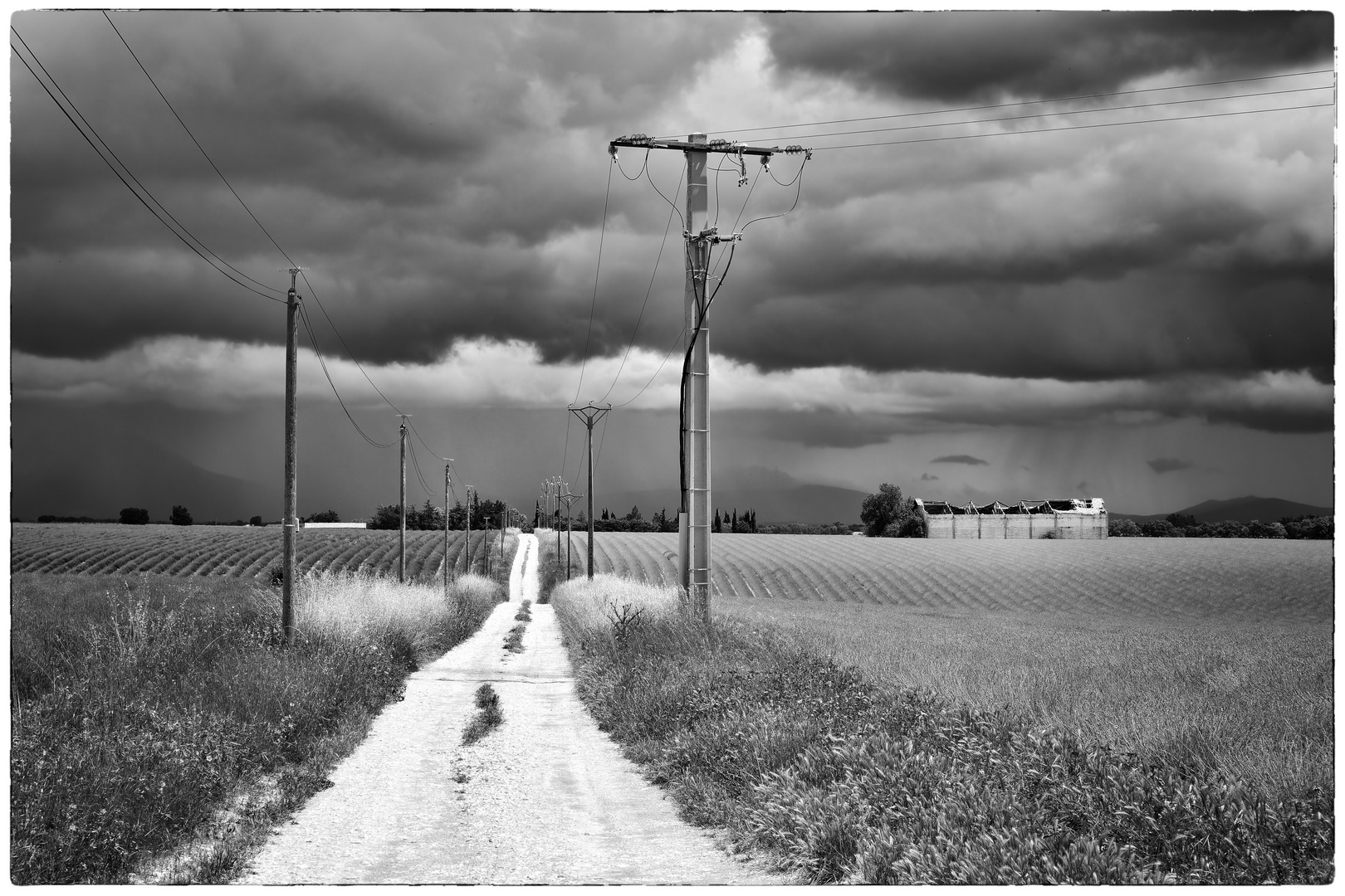 Valensole 