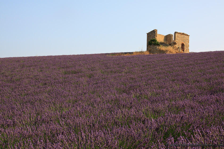 Valensole