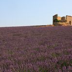 Valensole