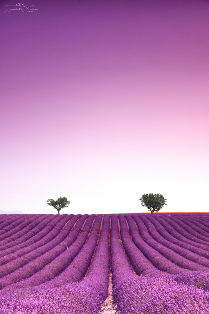 Valensole