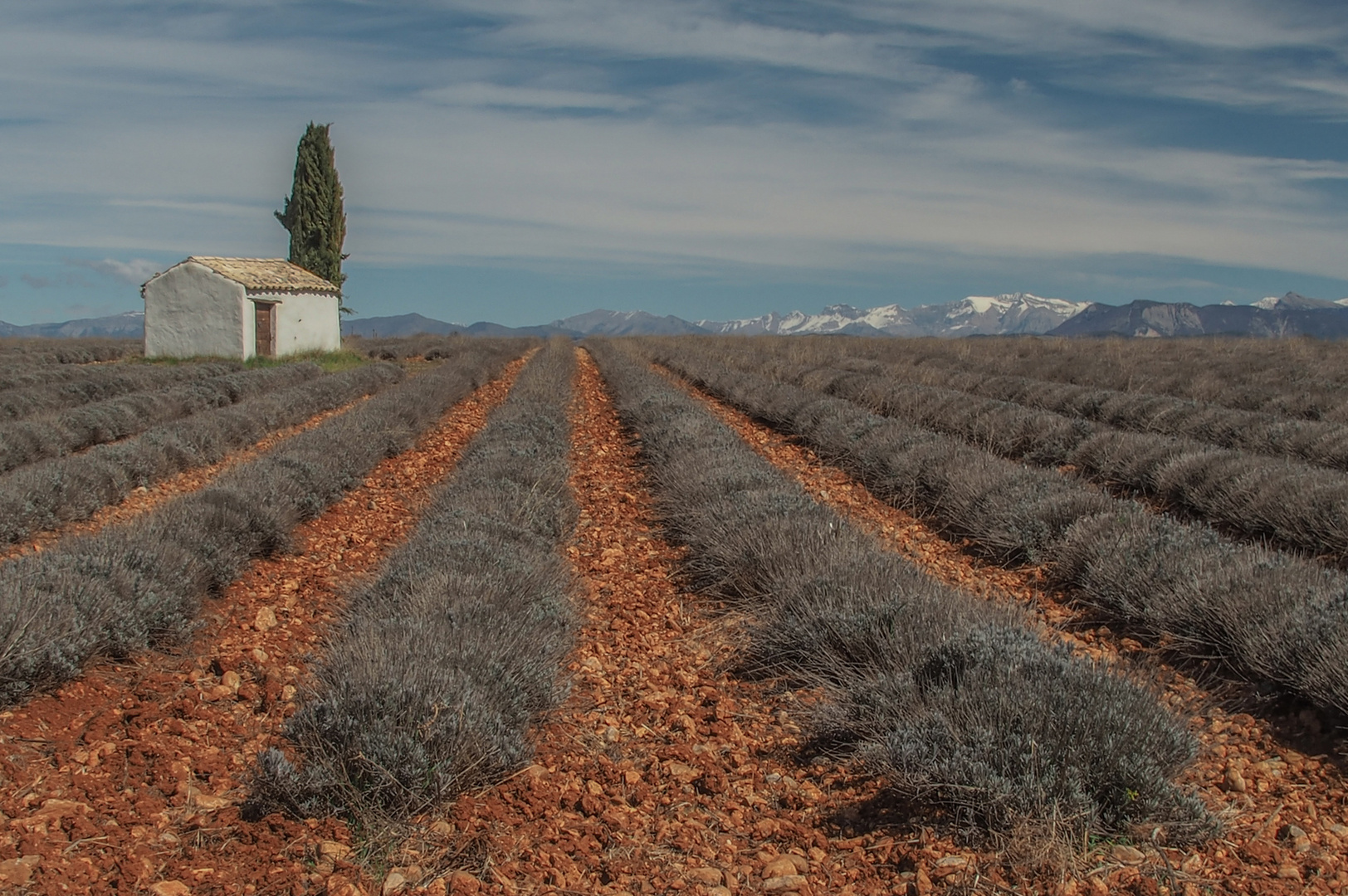 Valensole entre terre et ciel.