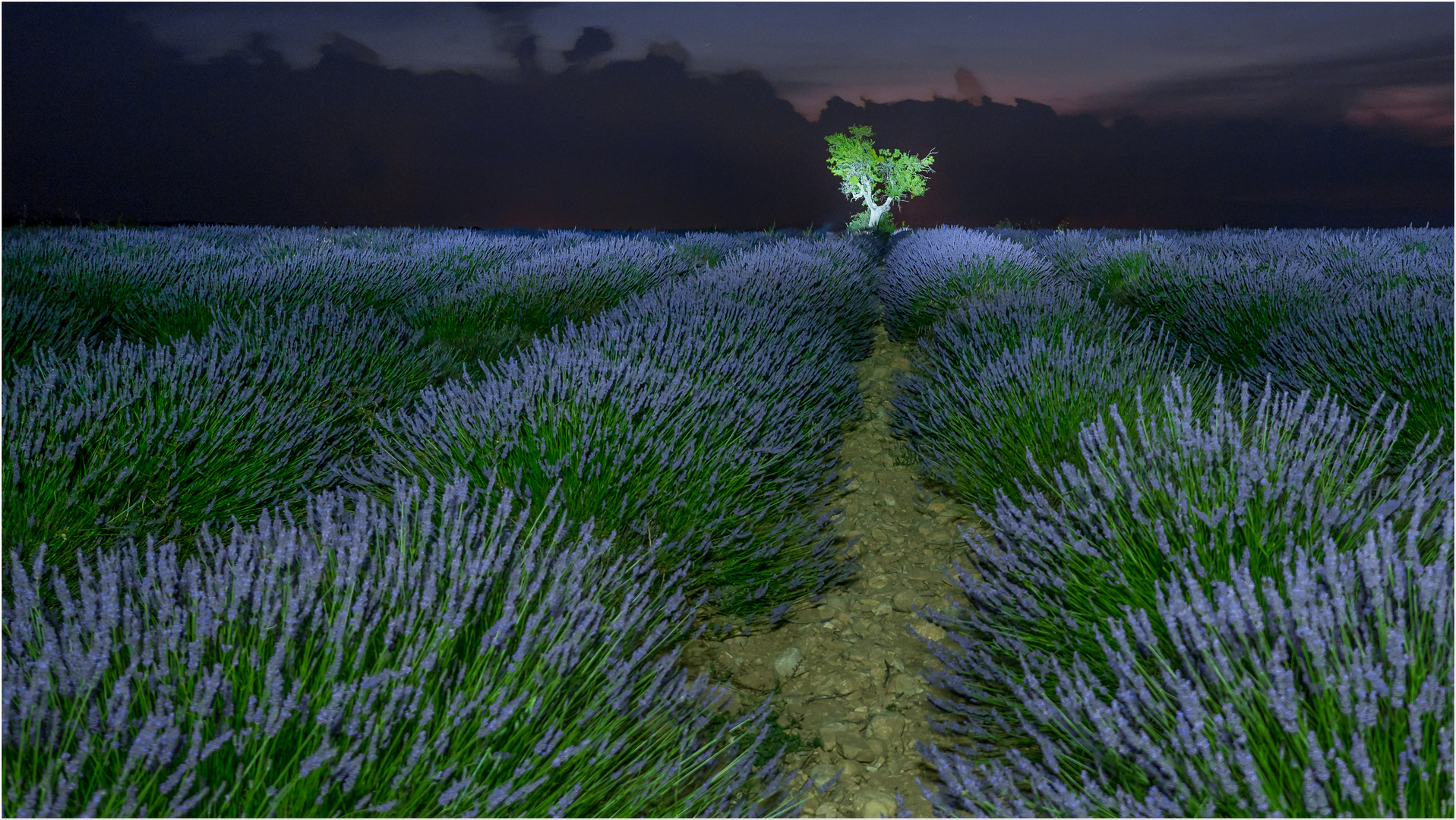 Valensole Provence-Alpes-Côte d’Azur