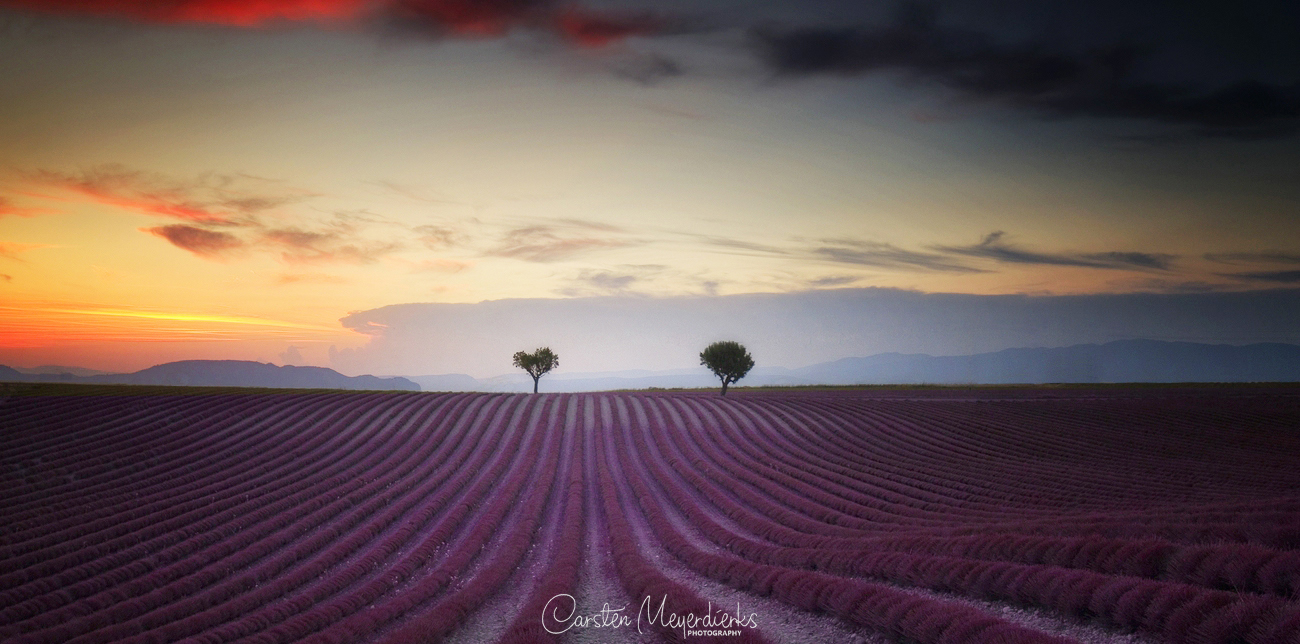 Valensole Sunset