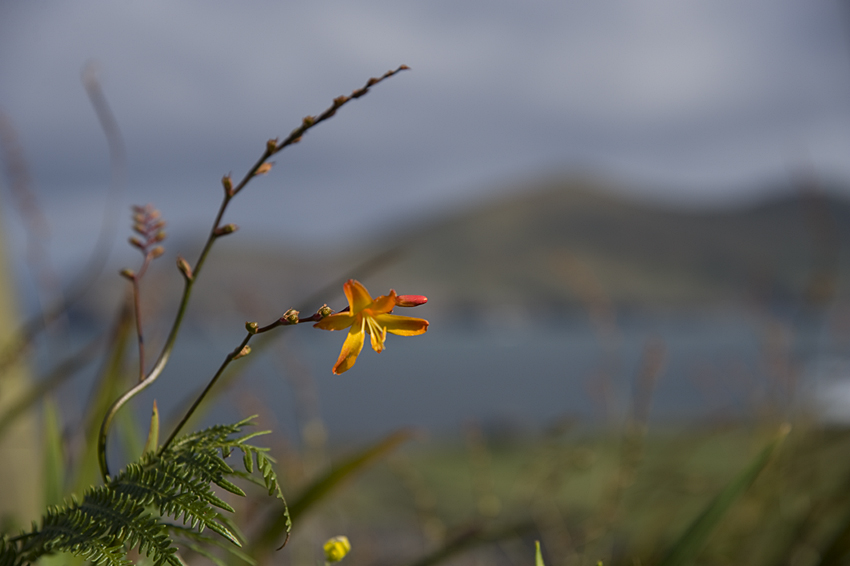 Valentia Island