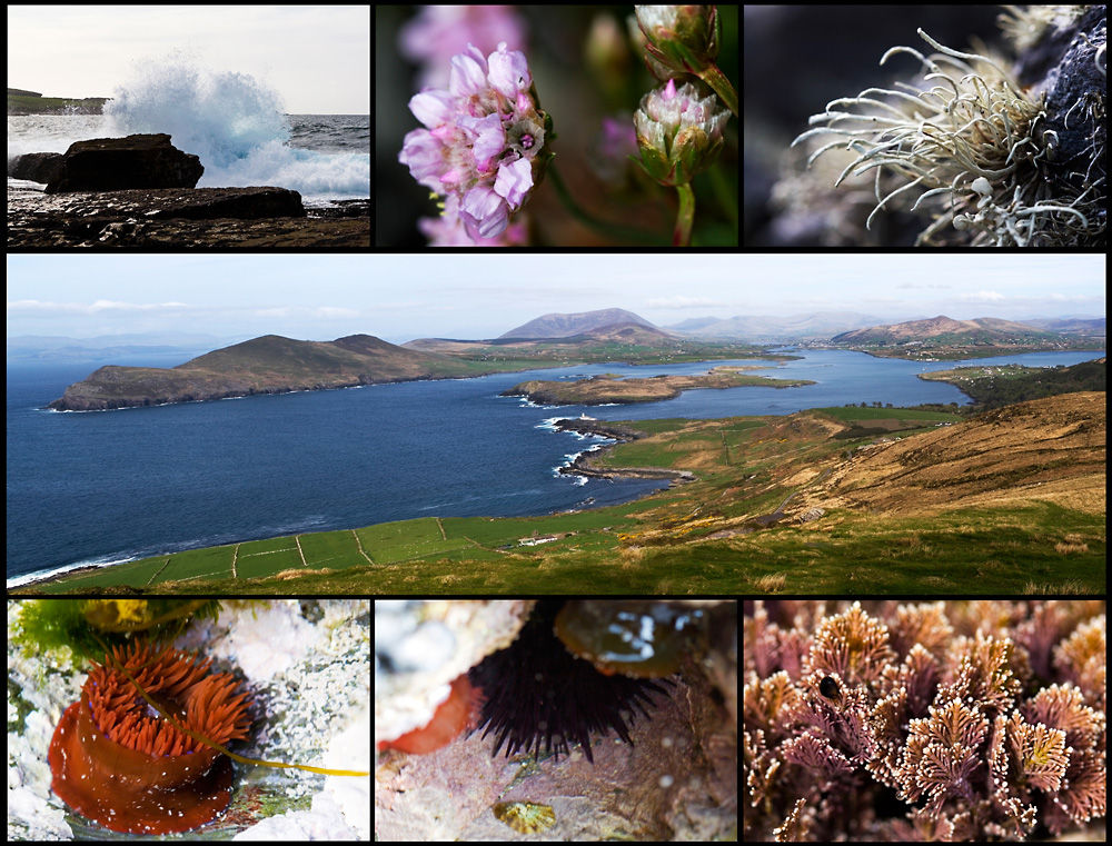 Valentia Island