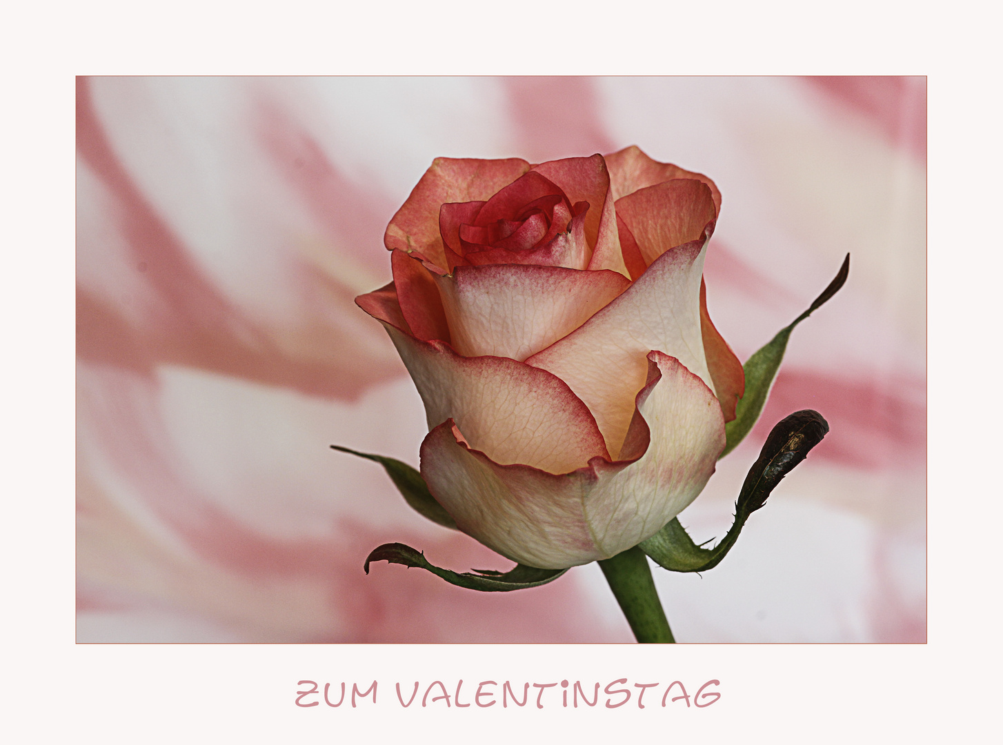 Valentinstag