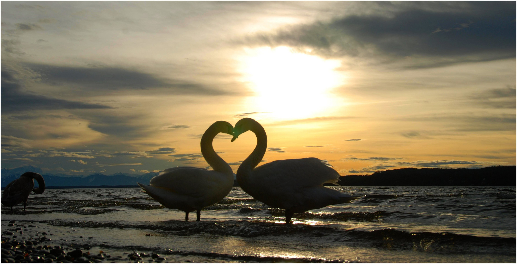 Valentinstag: das Herz