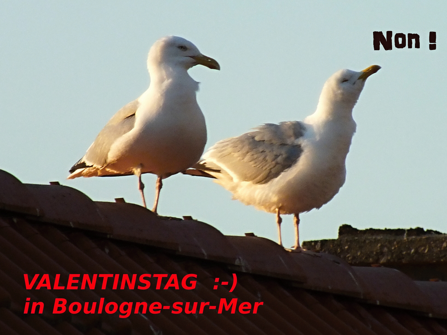 Valentinstag in Boulogne-sur-Mer ;-)