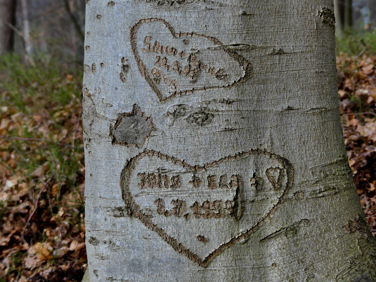 Valentinstag ist immer...