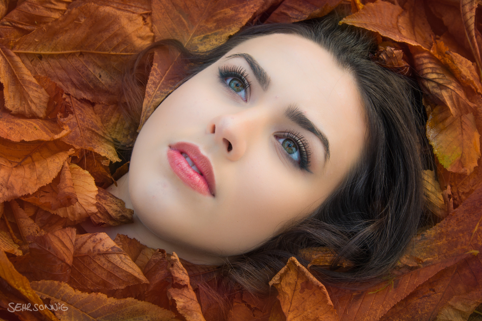 Valeria autumn leaves