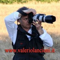 VALERIO LANCIONI FOTOGRAFO