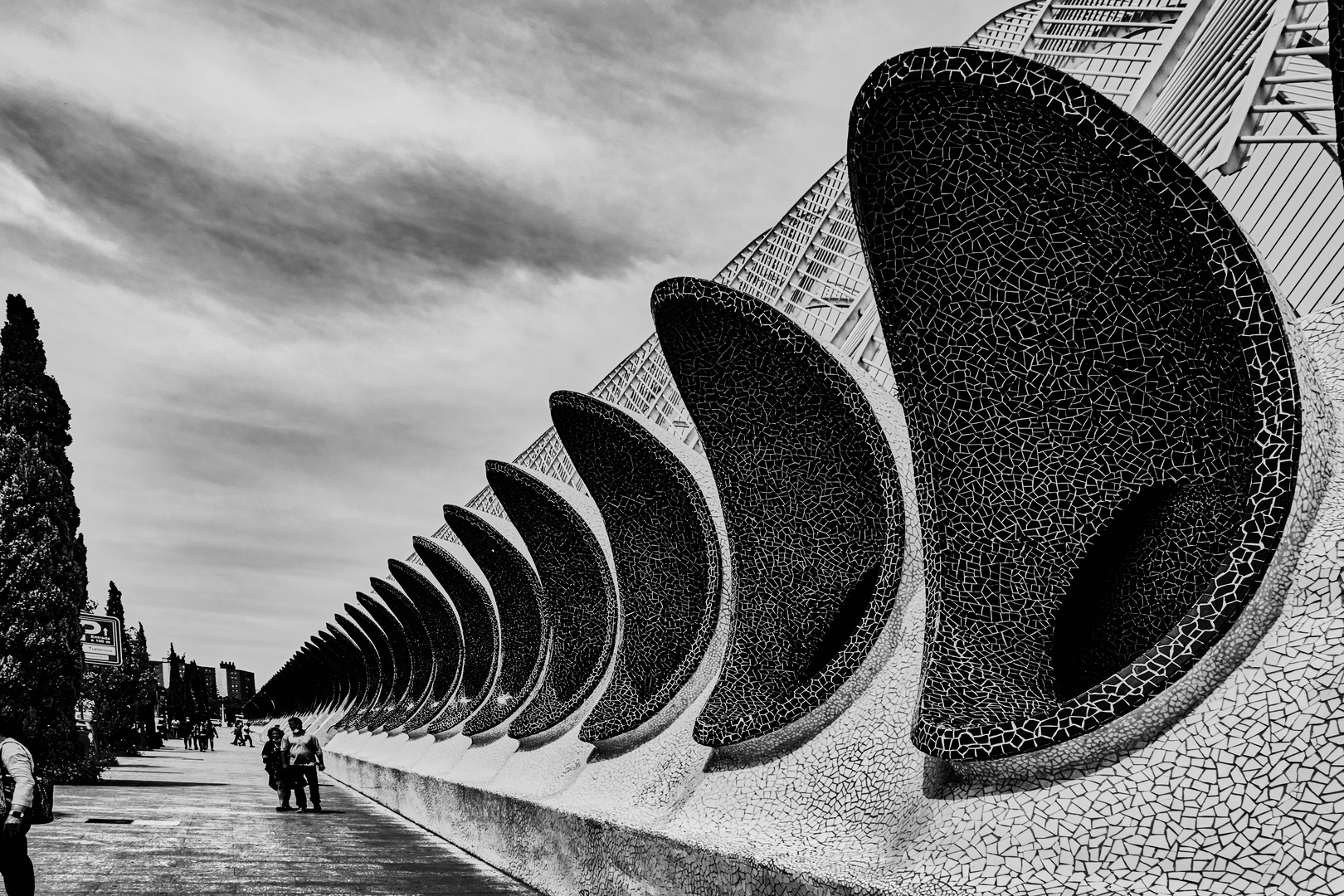 Vallado de la Ciudad de las Artes y las Ciencias