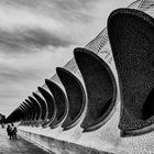 Vallado de la Ciudad de las Artes y las Ciencias