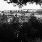 Valladolid seen from a park