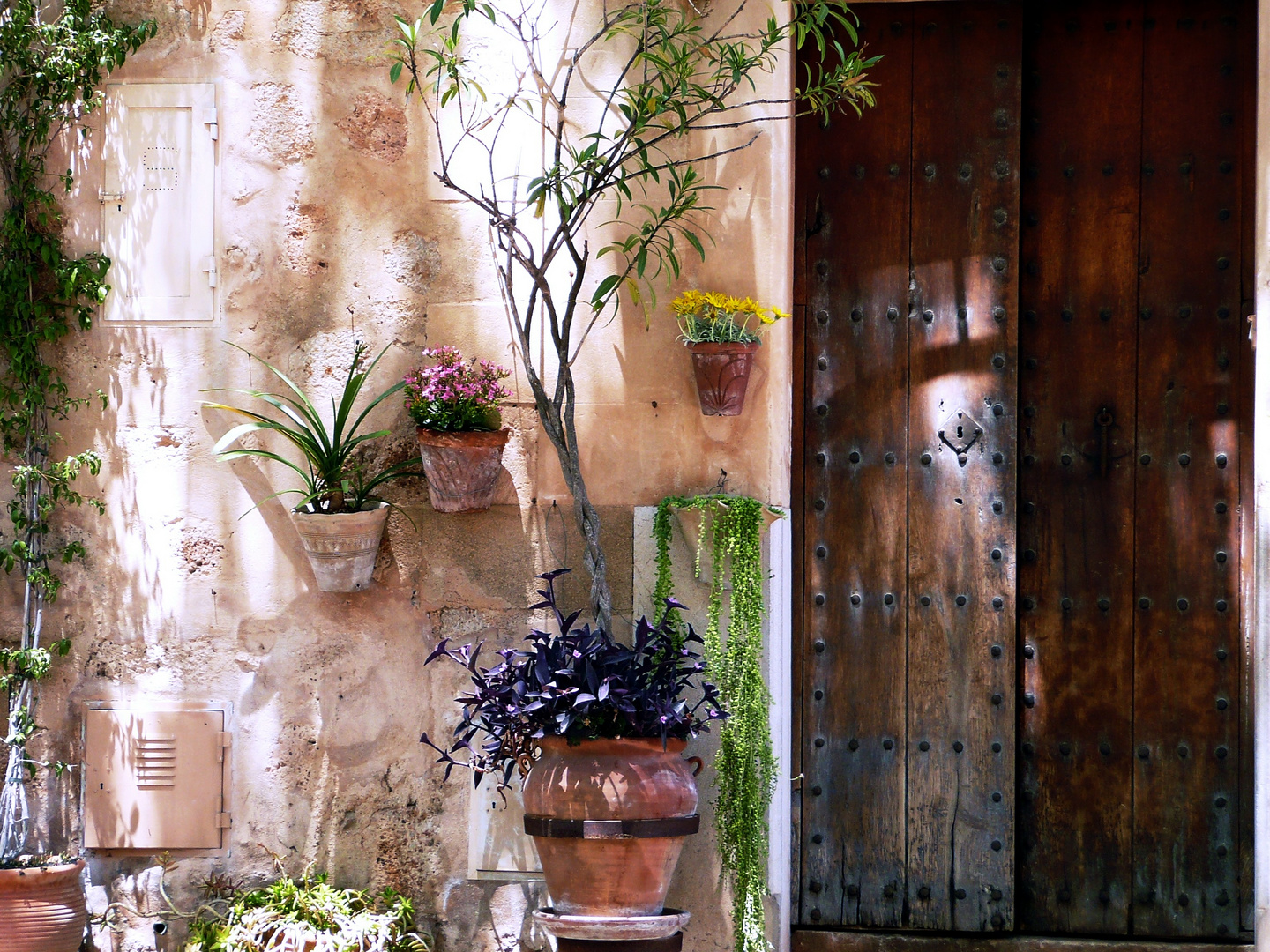 Valldemossa 06.2010