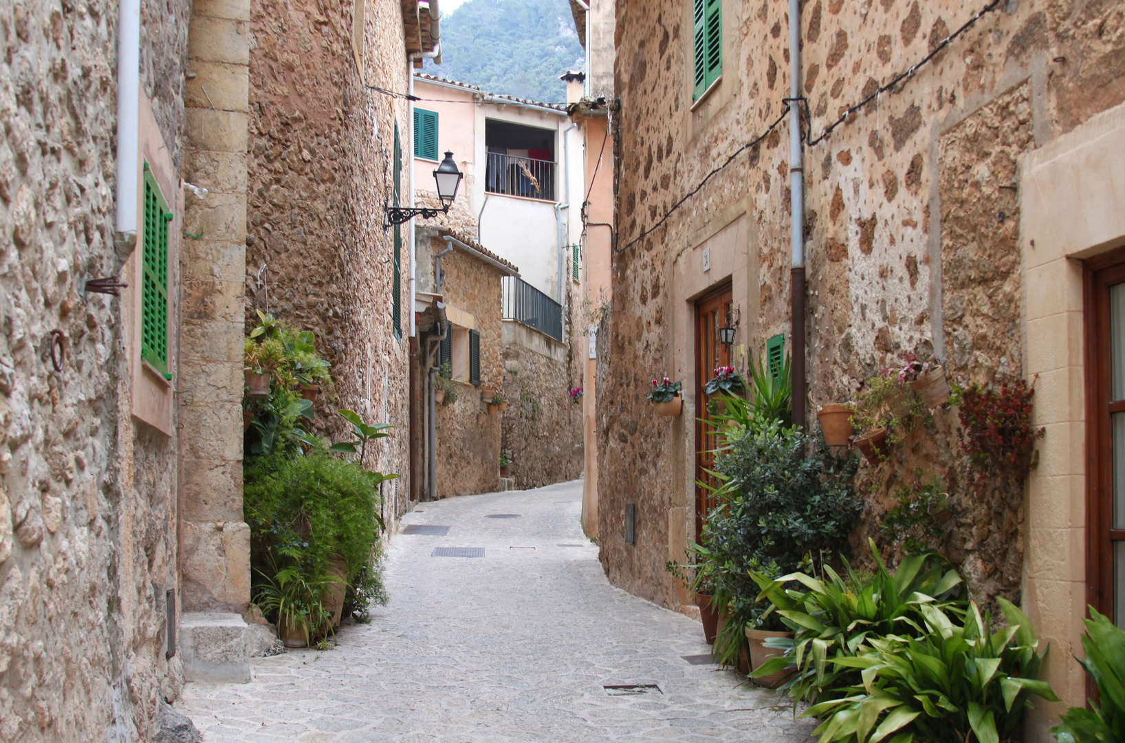 Valldemossa 2