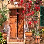 Valldemossa _ 22