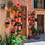 Valldemossa _ 30