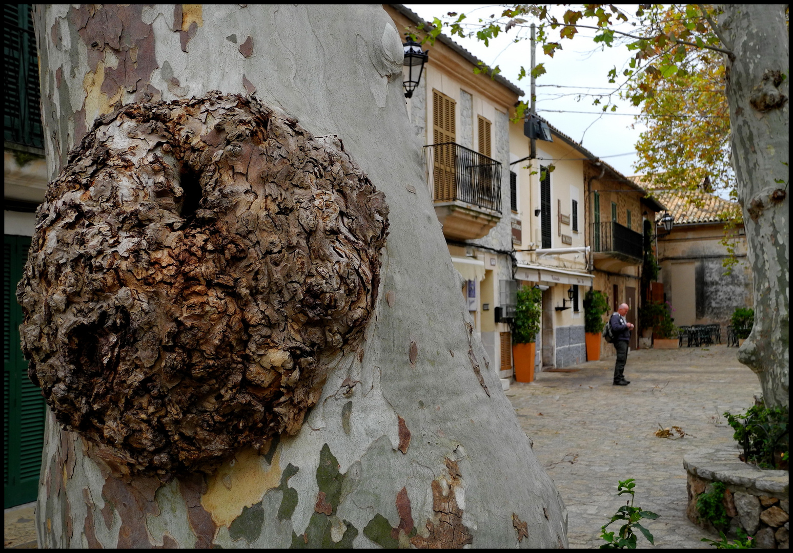 °valldemossa°