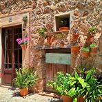 Valldemossa _ 36