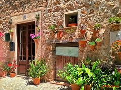 Valldemossa _ 36