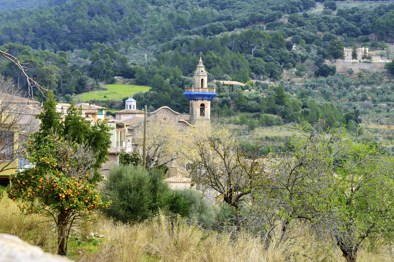 Valldemossa