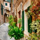 Valldemossa