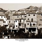 VALLDEMOSSA