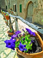 Valldemossa _ Betunie