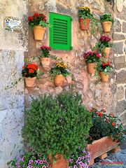 Valldemossa _ Blumenfassade