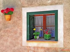 Valldemossa _ Fenster
