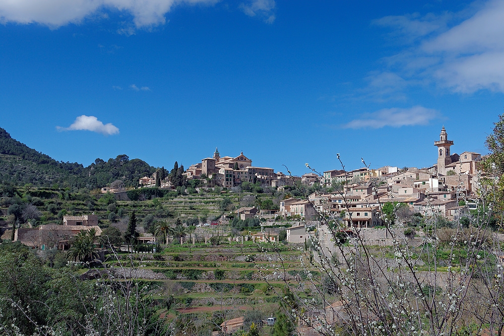 Valldemossa Impressionen I