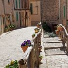 Valldemossa Impressionen IV