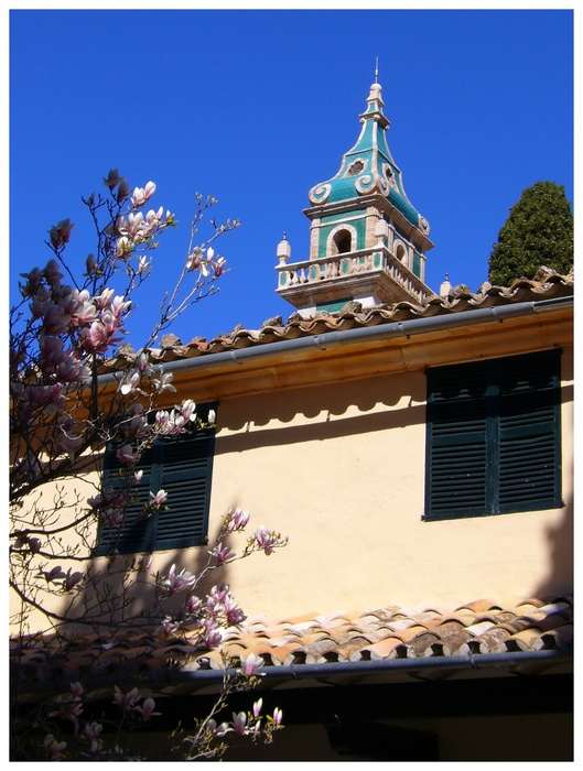 Valldemossa - Klosterkirchturm mit Magnolie