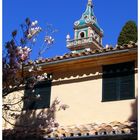 Valldemossa - Klosterkirchturm mit Magnolie