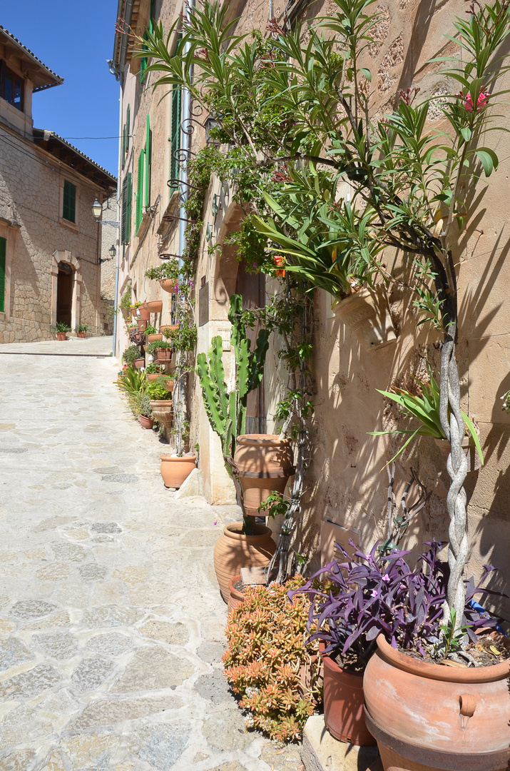 Valldemossa/ Mallorca