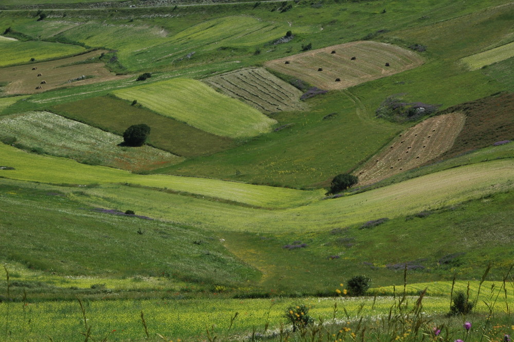 Valle Colorata