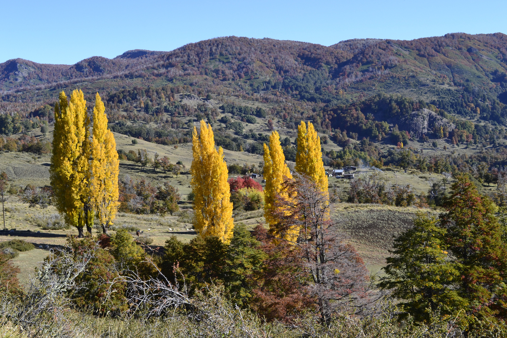 valle cordillerano