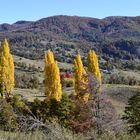 valle cordillerano