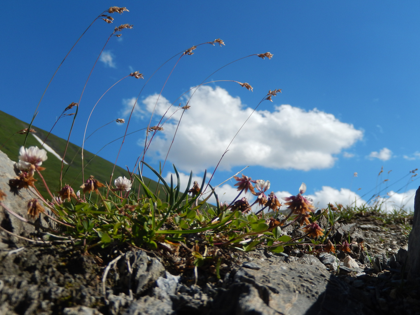 valle d'aosta