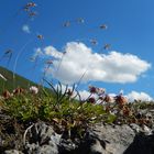 valle d'aosta