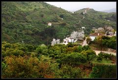 Valle de almendras y naranjas