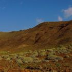 valle de cactus