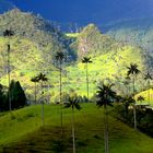 Valle de Cocora