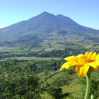 Valle de Jiboa