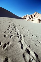 Valle de la Luna - Foto 0141