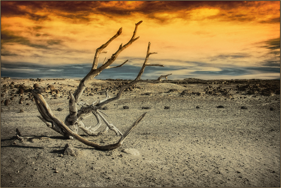 Valle de la Luna - Naturreservat Ischigualasto