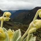 Valle de los Cojines